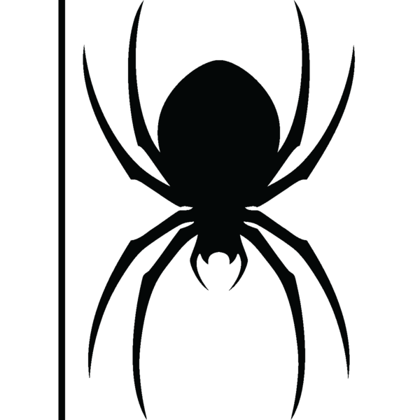Transparent Spider Line Art Drawing Insect for Halloween
