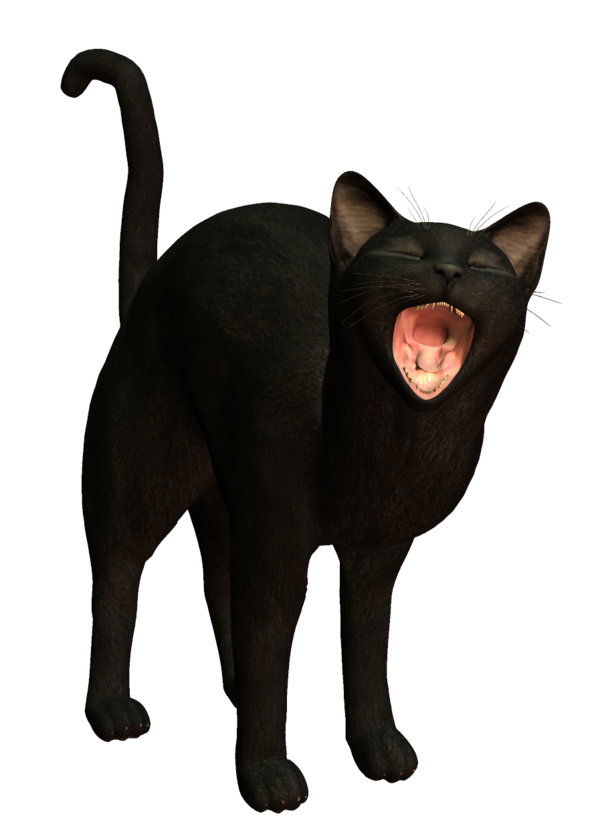 Transparent Cat Kitten Black Cat Snout Fur for Halloween
