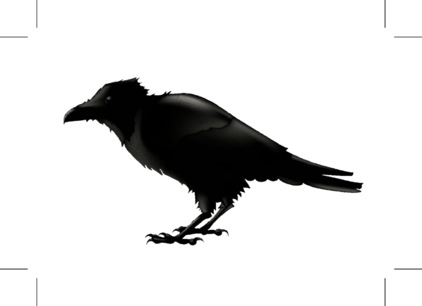 Transparent Common Raven Silhouette Cartoon Crow Like Bird for Halloween