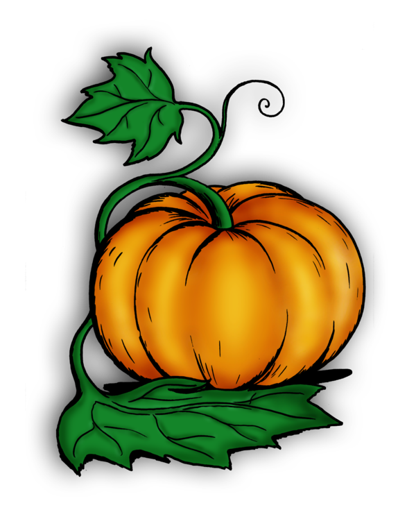 Transparent Jacko Lantern Gourd Winter Squash Flower for Halloween