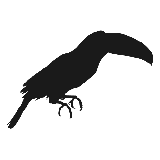 Transparent Beak Bird Toucan for Halloween