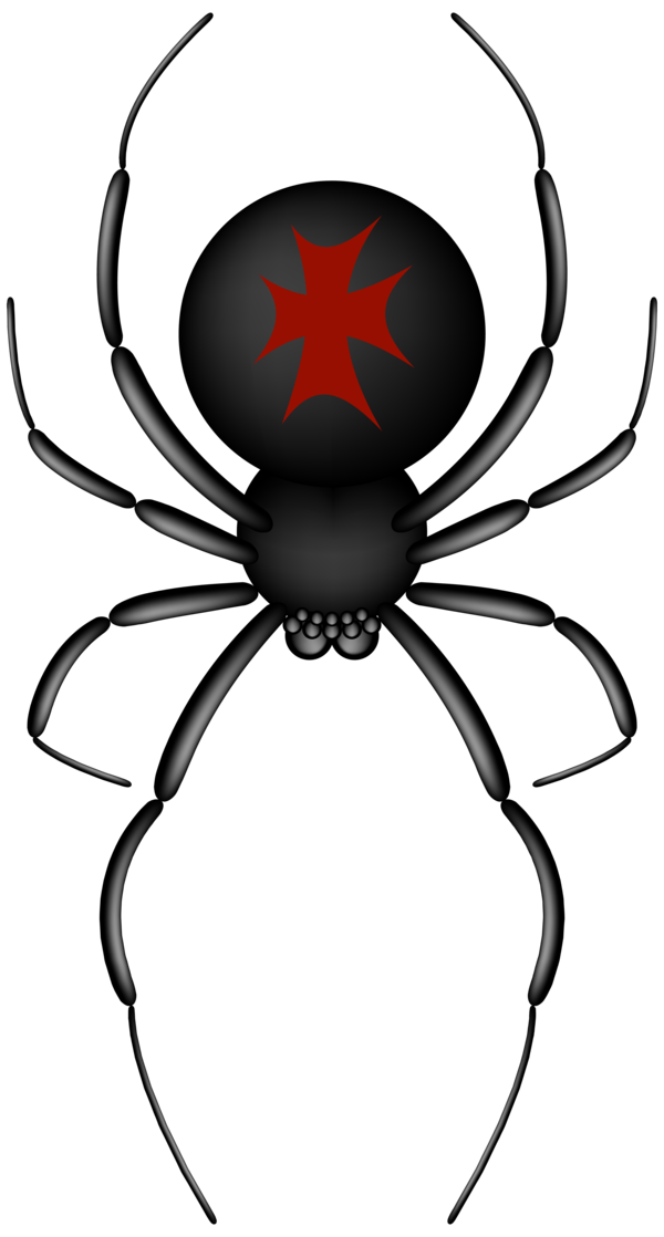 Transparent Spider Insect Spider Web Symbol Design for Halloween