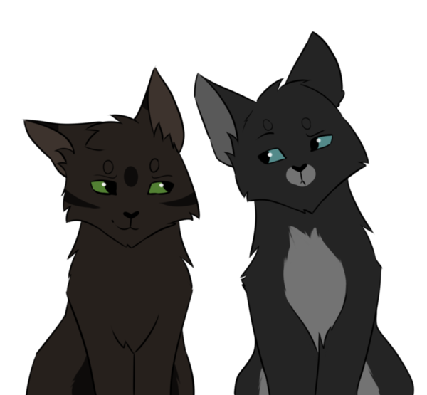 Transparent Korat Whiskers Character Cat Black Cat for Halloween