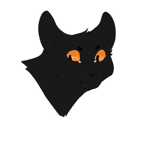 Transparent Whiskers Cat Paw Black Cat for Halloween
