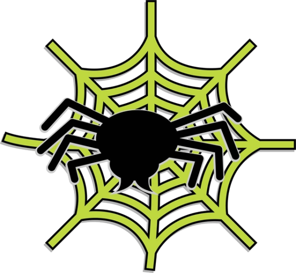 Transparent Spider Spider Web Drawing Leaf Symmetry for Halloween