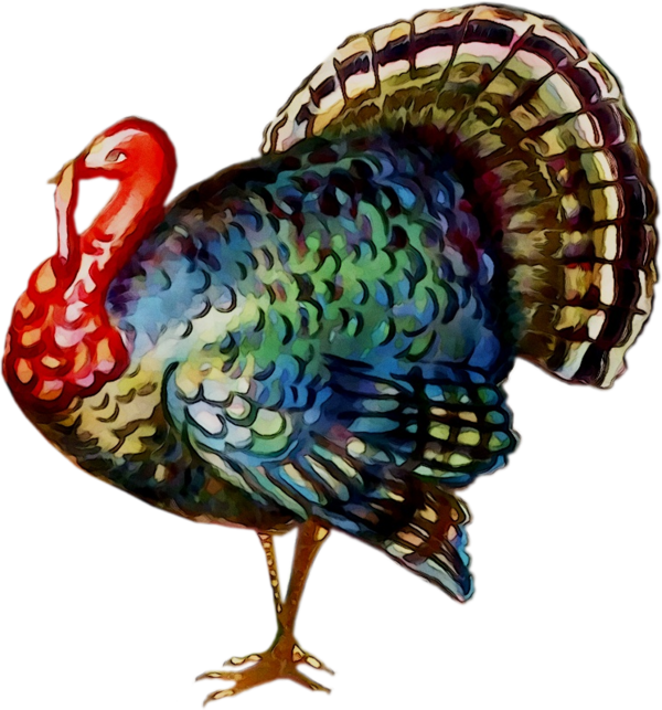 Transparent Thanksgiving Turkey Greeting Bird for Thanksgiving