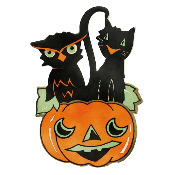 Transparent Black Cat Cat Calabaza for Halloween