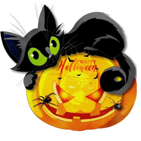 Transparent Black Cat Cat Cartoon for Halloween