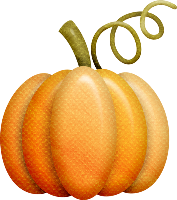 Transparent Pumpkin Calabaza Winter Squash Fruit for Thanksgiving