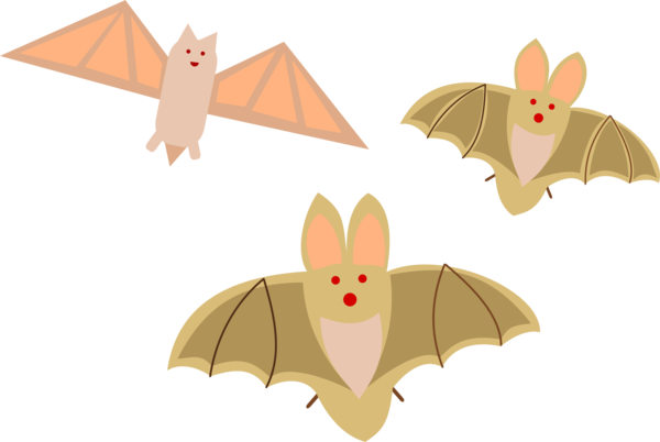 Transparent Bat Vampire Bat Bats In Houses Butterfly for Halloween