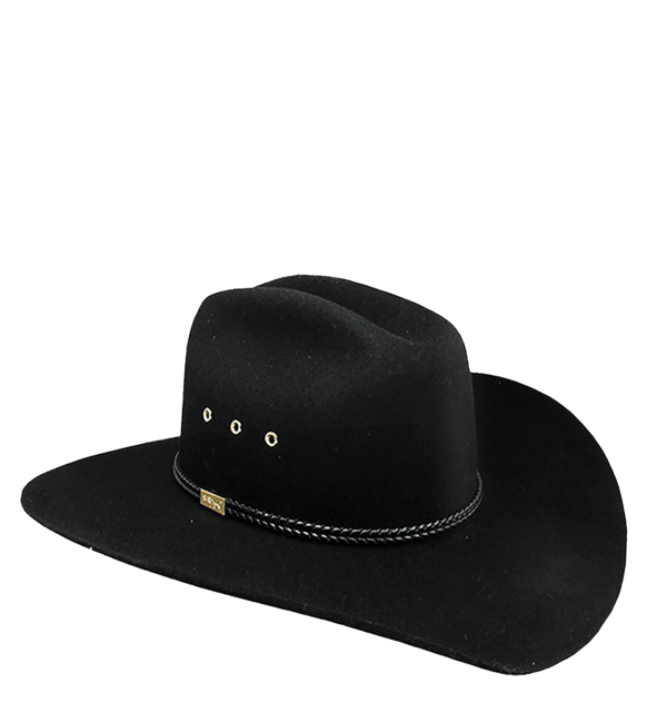 Transparent Hat Resistol Cowboy Hat Headgear for Halloween