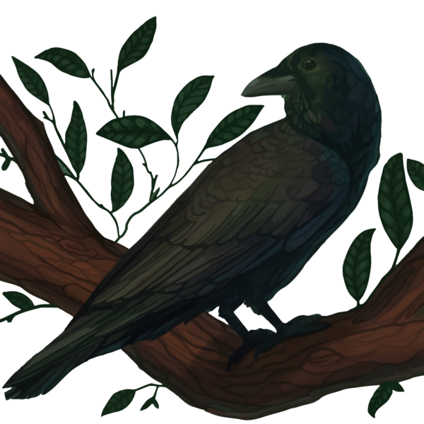 Transparent American Crow New Caledonian Crow Common Raven Crow Like Bird for Halloween