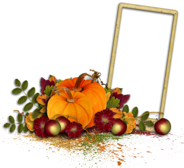 Transparent Blog Computer Software Halloween Flower Gourd for Halloween