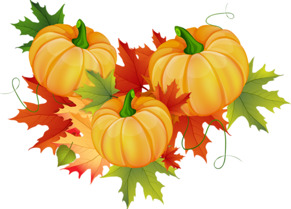Transparent Autumn Pumpkin Vegetarian Cuisine Vegetable Natural Foods for Thanksgiving