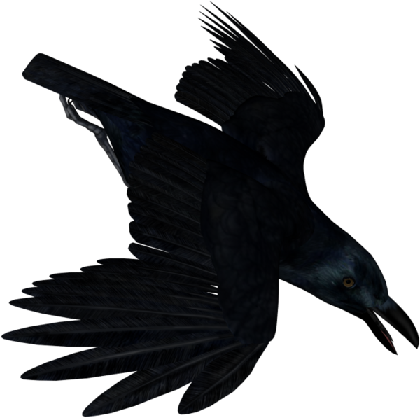 Transparent American Crow Bird Common Raven Beak for Halloween