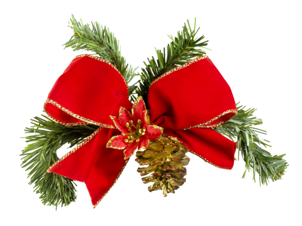 Transparent Christmas Santa Claus Christmas And Holiday Season Evergreen Pine Family for Christmas