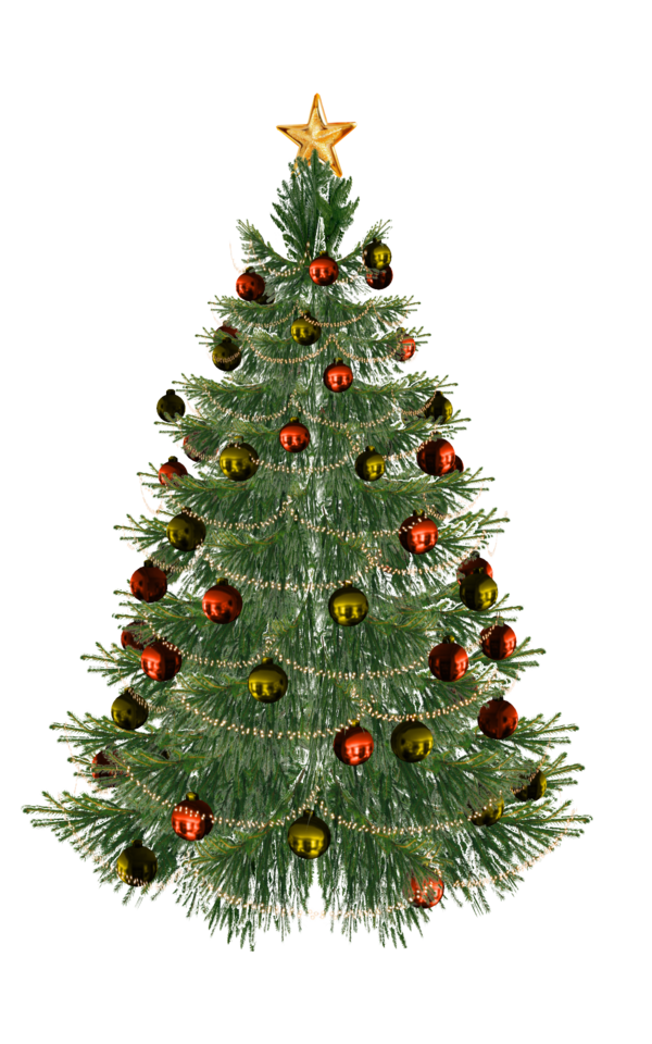 Transparent Christmas Tree Christmas Tree Fir Pine Family for Christmas