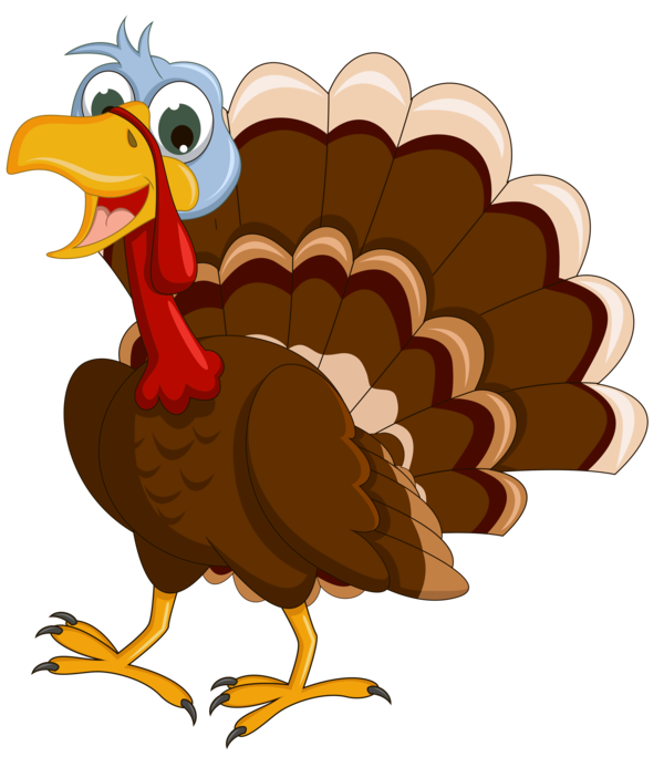 Transparent Thanksgiving
 Turkey Meat
 Thanksgiving Day
 Bird Chicken for Thanksgiving