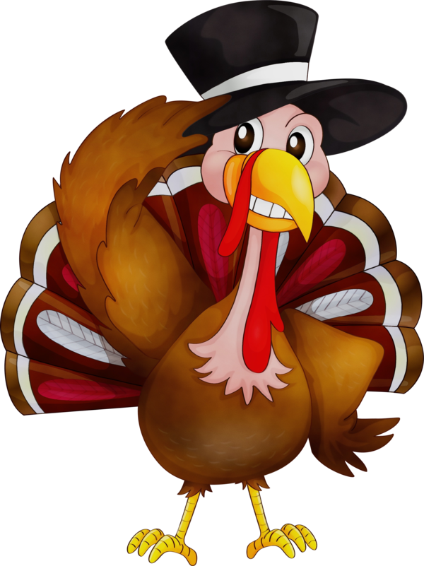 Transparent Turkey Meat Thanksgiving Wild Turkey Cartoon Bird for Thanksgiving