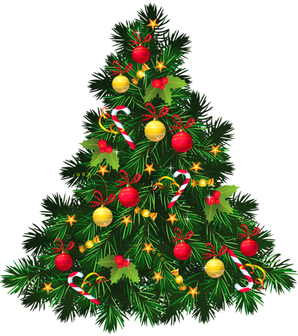 Transparent Christmas Christmas Tree Christmas Ornament Evergreen Pine Family for Christmas