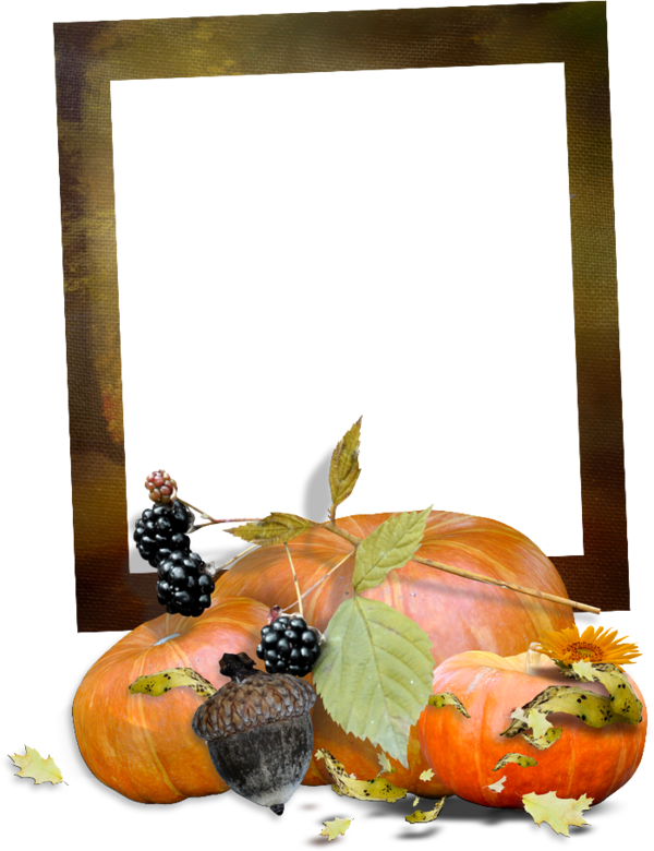 Transparent Pumpkin Picture Frames Autumn Cucurbita Picture Frame for Thanksgiving