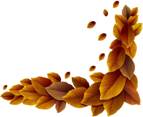 Transparent Autumn Borders And Frames Autumn Leaf Color Yellow Leaf for Thanksgiving