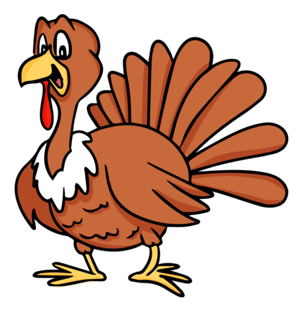 Transparent Turkey Turkey Meat Thanksgiving Fowl Bird for Thanksgiving