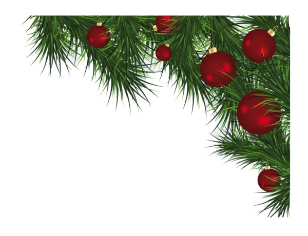 Transparent Christmas Christmas Card Greeting Card Fir Pine Family for Christmas