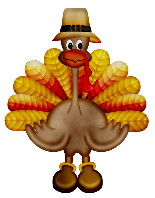 Transparent Thanksgiving Drawing Cartoon Turkey for Thanksgiving