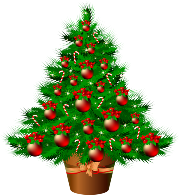 Transparent Santa Claus Candy Cane Christmas Fir Pine Family for Christmas