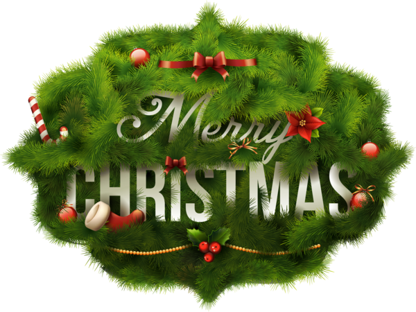 Transparent Christmas Christmas Card Christmas Tree Evergreen Pine Family for Christmas