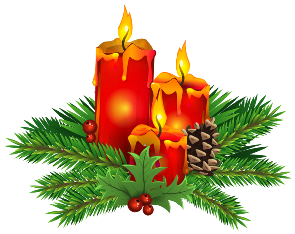 Transparent Christmas Candle Christmas Tree Fir Pine Family for Christmas