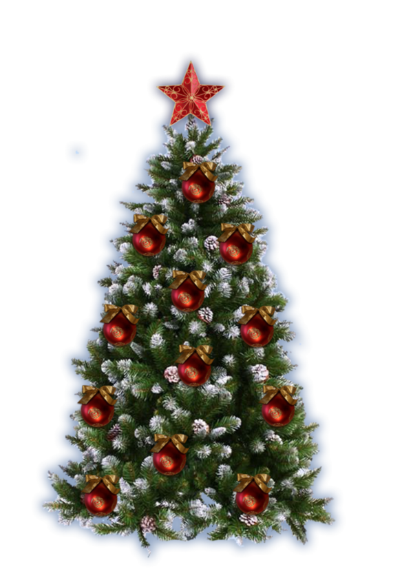 Transparent Christmas Picture Frames Christmas Tree Fir Pine Family for Christmas