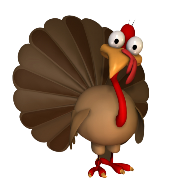Transparent Turkey Thanksgiving Thanksgiving Dinner Flightless Bird Rooster for Thanksgiving