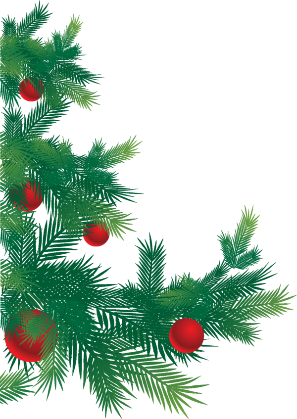 Transparent Christmas Christmas Card Christmas Decoration Fir Pine Family for Christmas