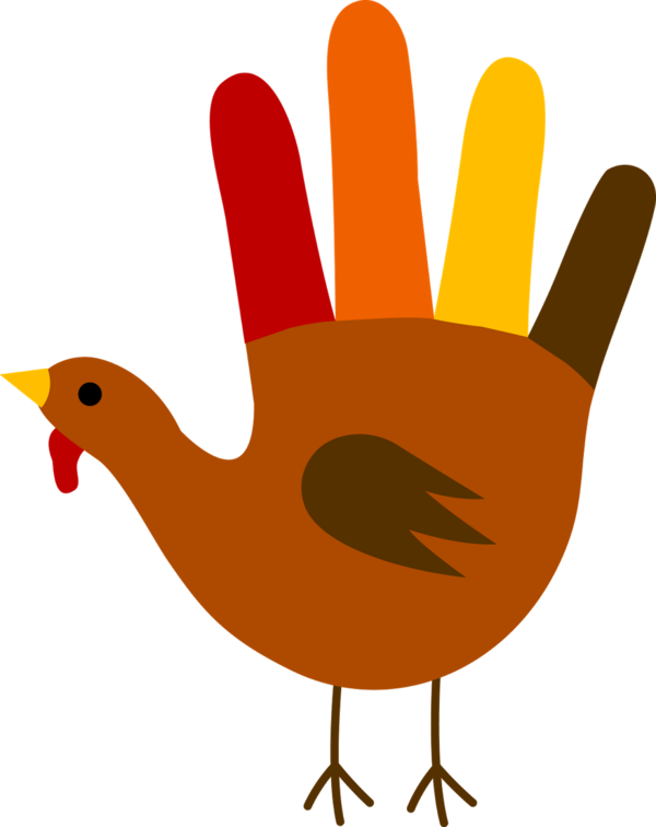 Transparent Turkey Thanksgiving Turkey Meat Water Bird Wing for Thanksgiving