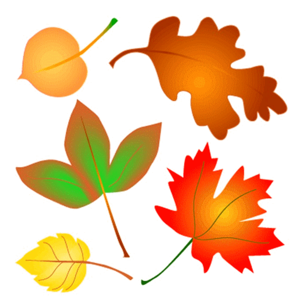 Transparent Autumn Autumn Leaf Color Leaf Orange for Thanksgiving