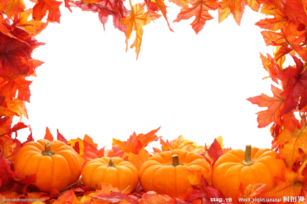 Transparent Autumn Autumn Leaf Color Leaf Calabaza for Thanksgiving