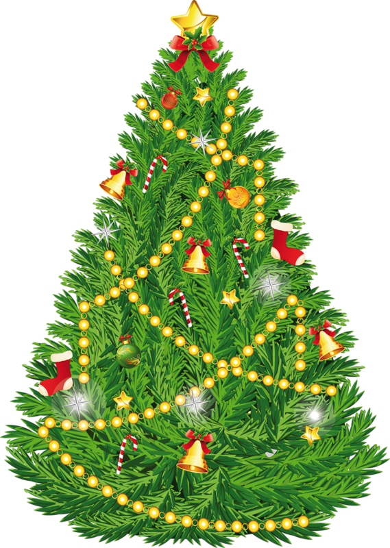 Transparent Christmas Tree
 Christmas
 Tree
 Fir Pine Family for Thanksgiving