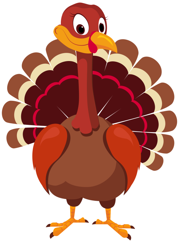 Transparent Black Turkey Turkey Meat Thanksgiving Beak Chicken for Thanksgiving