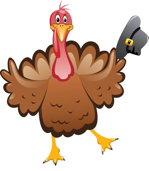 Transparent Turkey Thanksgiving Thanksgiving Dinner Bird Rooster for Thanksgiving