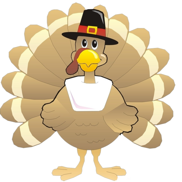 Transparent Turkey Cartoon Thanksgiving Water Bird for Thanksgiving