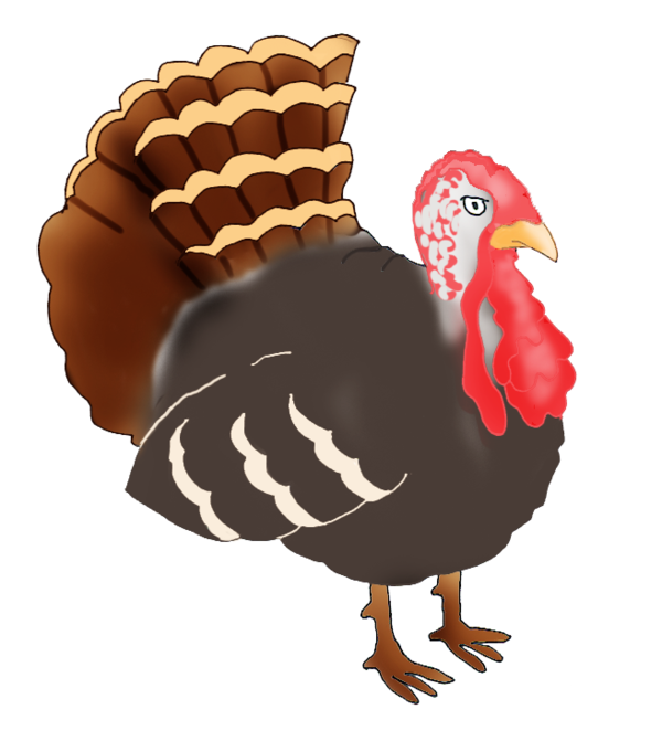 Transparent Turkey National Thanksgiving Turkey Presentation Thanksgiving Poultry Fowl for Thanksgiving