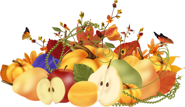 Transparent Autumn Animation Golden Autumn Flower Food for Thanksgiving