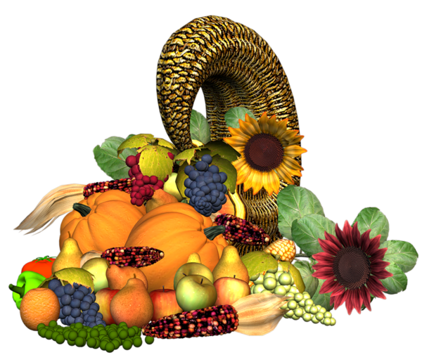 Transparent Fruit Drawing Still Life Flower Food for Thanksgiving