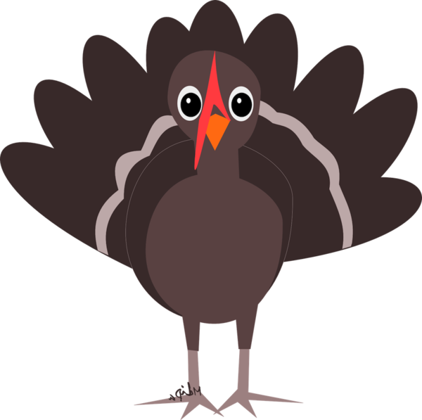 Transparent Turkey Turkey Meat Thanksgiving Bird Beak for Thanksgiving