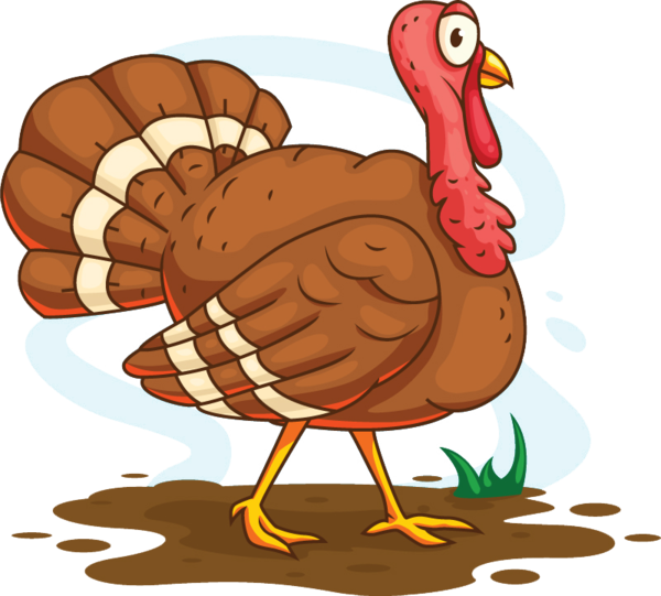 Transparent Turkey Turkey Meat Cartoon Food Beak for Thanksgiving
