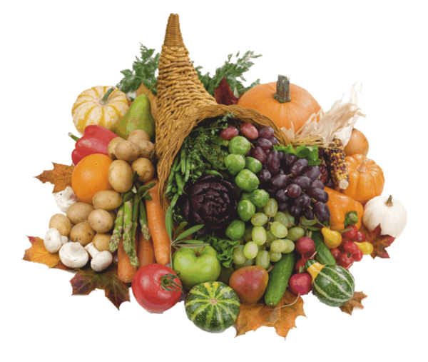 Transparent Food Health Food Waste Natural Foods Vegetable for Thanksgiving