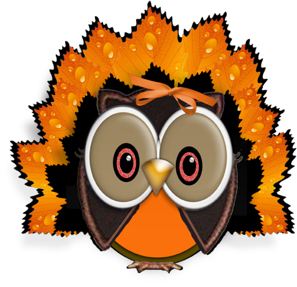 Transparent Owl Thanksgiving Cartoon Beak for Thanksgiving