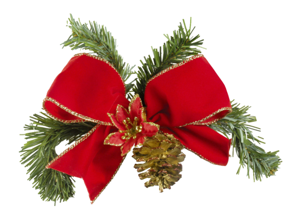 Transparent Santa Claus Christmas And Holiday Season Christmas Evergreen Pine Family for Christmas